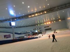 -哈尔滨热雪奇迹