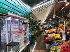 -曲阳花鸟市场(曲阳路店)