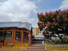 -屯门公园