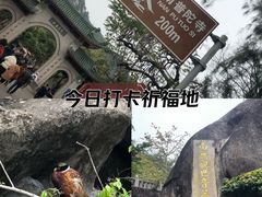 -南普陀寺