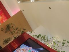 -老板恋上鱼(恒隆广场店)