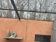 -青藏高原野生动物园