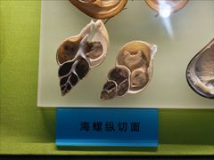 -天津自然博物馆
