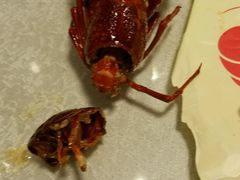 -阿胖龙虾小海鲜(宁国南路总店)