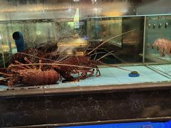 -阿伟海鲜楼·福建菜(延寿店)