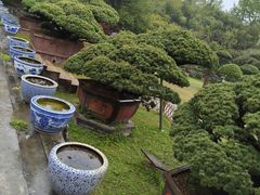 -水绘园