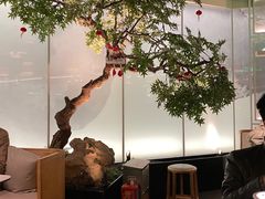 -绿茶餐厅(广州天河城店)