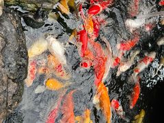 -聚福宝合苑食府(南头镇店)