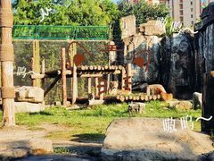 -上海野生动物园