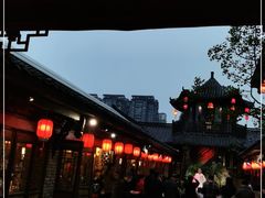 -小龙翻大江文化火锅(宽窄店)