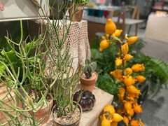 -dotcom coffee古点咖啡(致真大厦店)