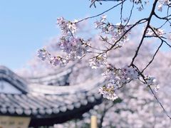-巡塘古镇