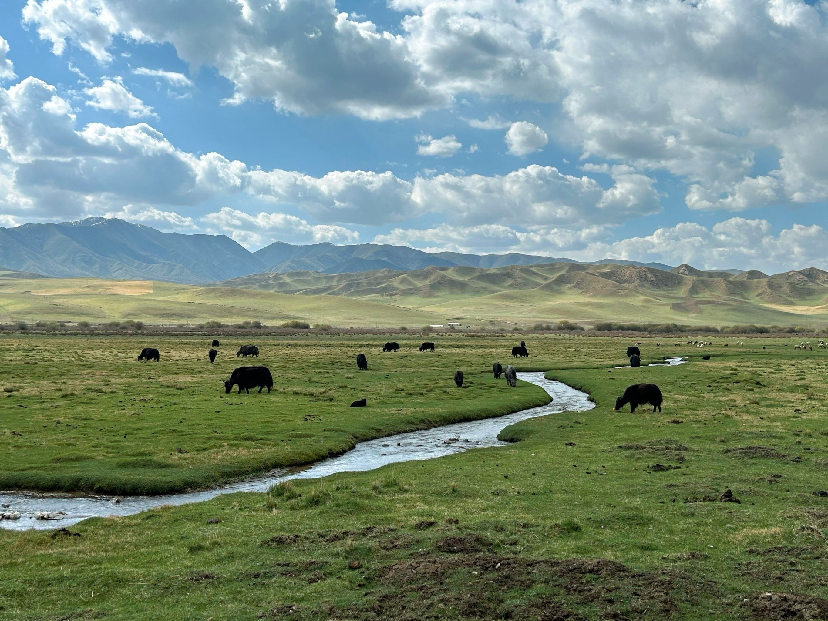 靠近天堂的桑科草原