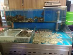 水产区-辣盆盆麻辣小龙虾(哈尔滨总店)
