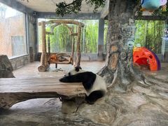 -海南热带野生动植物园