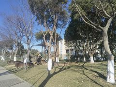 -阳澄湖费尔蒙酒店