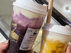 -LELECHA乐乐茶(美罗城店)