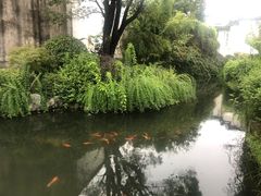 -黎阳老街