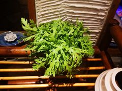 茼蒿-老牌坊云南鱼豆花火锅(爱建店)