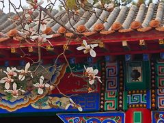 -碑林公园