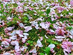 -苏州河梦清园环保主题公园