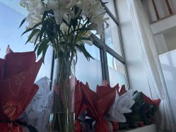 -安那般那皮肤年轻化ANAPANA