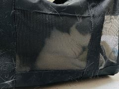 -瑞派宠物医院·犬猫全科·猫友好(宾水西道店)