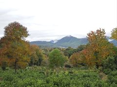-塔川景区