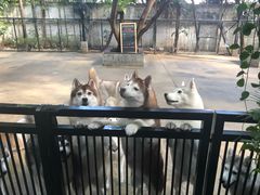 -TrueLove @ Neverland (Husky Cafe)