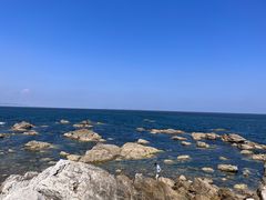 -养马岛旅游度假区