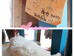 -Babycat私家御饼屋(龙头路一店)