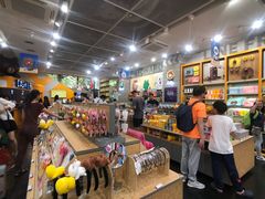 -line friends(明洞旗舰店)