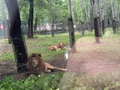 -秦皇岛野生动物园