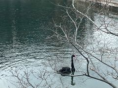 -周震馄饨(雅达阳羡溪山店)