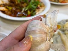 -马黑哥椒麻鸡(清江山水店)