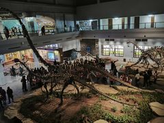 -自贡恐龙博物馆