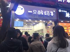-一只酸奶牛(八一路店)