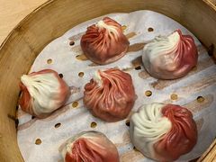 鲜肉小笼-苏小柳手工点心(人民广场分院)