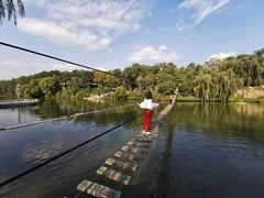 -东方巨龟苑景区