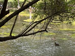 -水磨沟公园