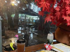 -柴犬高等学院·狗咖·柴犬售卖·宠物训练