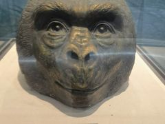 -国家自然博物馆