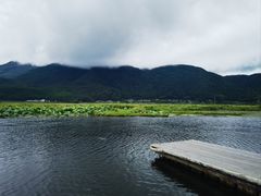 -腾冲北海湿地