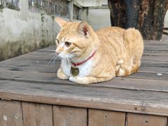 -兮食农场餐厅