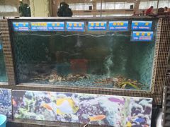 -金河半岛园林酒家(金融城店)