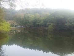 android_upload_pic-嵖岈山风景区