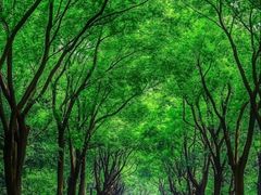-西溪南古村落