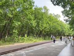 -茅兰沟国家森林公园