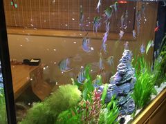 -悦和餐厅(CBD玉米楼店)
