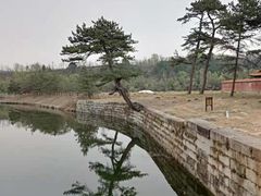 -清西陵